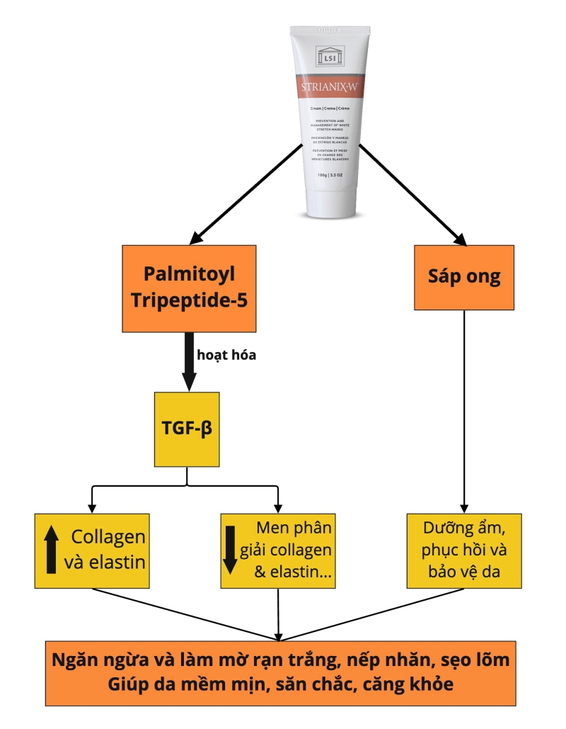 Kem hỗ trợ trị rạn da trắng _ Strianix W