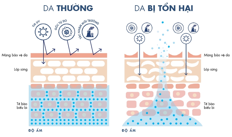 Obagi Daily Hydro-Drops_Huyết thanh tiếp nước và hồi sinh da cấp tốc
