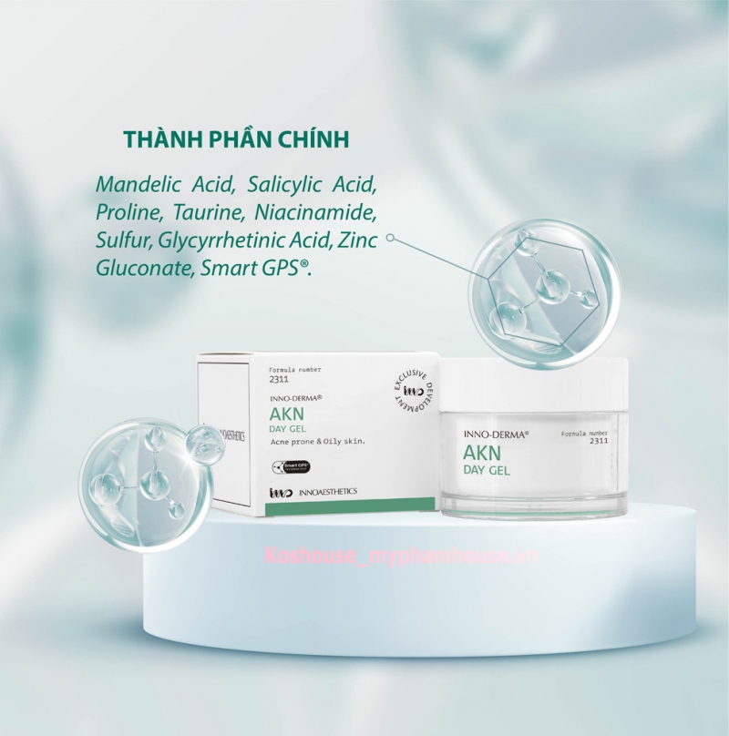 INNO DERMA Innoaesthetics Akn Day Gel Acne _ Gel đặc trị dành cho da dầu, mụn và phục hồi tổn thương da sau viêm